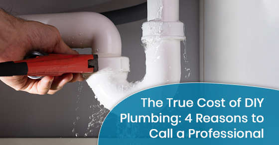 The True Cost of DIY Plumbing: 4 Reasons to Call a Professional